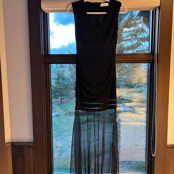 Beautiful Lian Yi Fang gown- worn  once, gothic with sheer cutaways and long - Picture 6 of 8